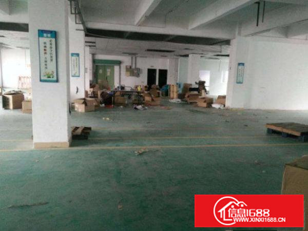 常平桥沥新出楼上730平方带装修厂房