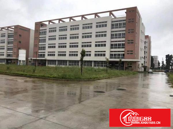 桥头镇大型工业园厂房分租50050000平方出租