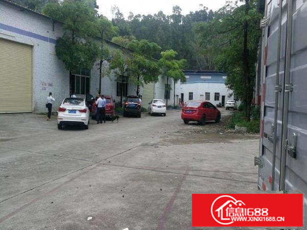 龙岗同乐钢构700平方厂房出租！可分租