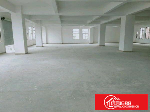 怀德本地房东全新厂房招租