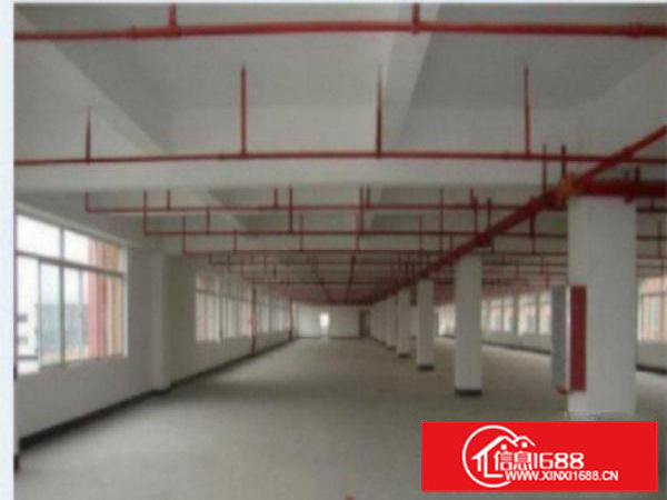 高埗标准一楼厂房500-5000平米低价招租可装行车,成熟工