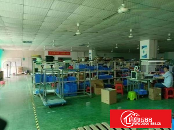 狮山山南1楼775平方厂房出租