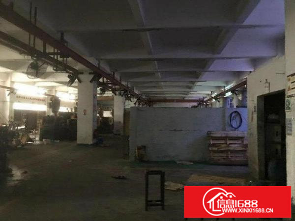 坪山碧岭工业区金碧路边上300至550平原房东一楼厂房招租