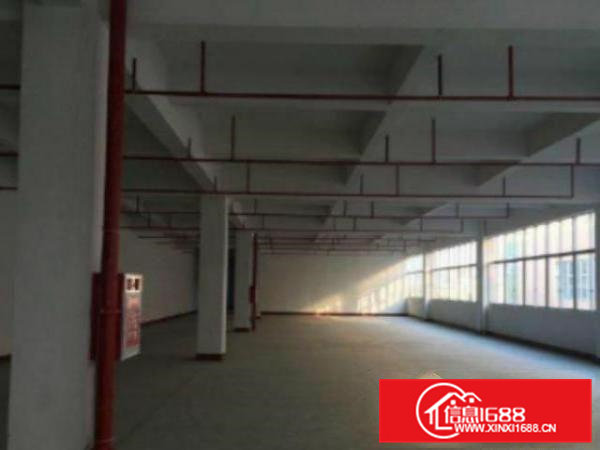 高埗.1000平超大超靓标准厂房分租好招工适合各类型小加工