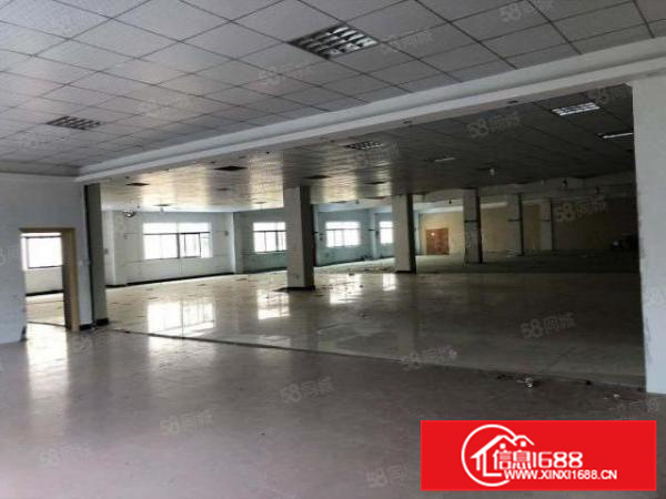 出租！顺德容桂天富来650方，价格便宜，带精装修办公室！