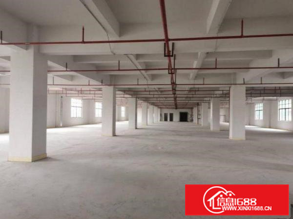 出租横沥田头可办环评全新厂房房东分租500平方