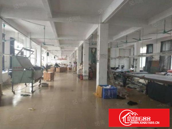 独门独院环评秒过，北滘工业区1200方标准厂房带办公宿舍电大