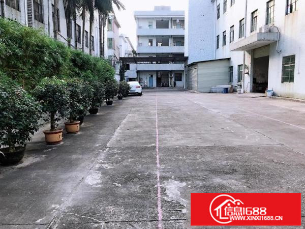 横岗安良独院厂房仓库分组一楼2300平方出租