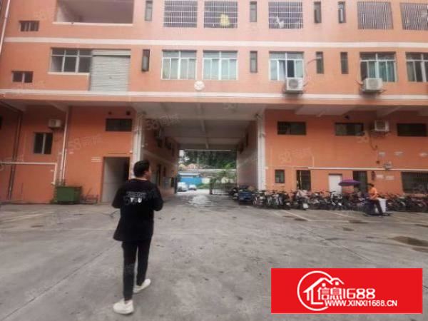 茶山新出全新独门独院原房东厂房交通便利一楼高7米牛角价格实惠