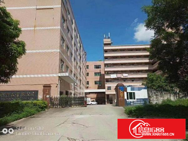 坪地低碳城2800平米精装修厂房出租可分租