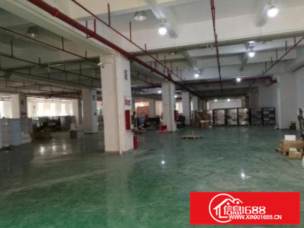 大浪雅迪宝科技园新出三楼2900平带装修形象好18块