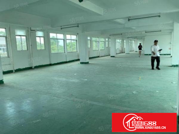 观澜君子布楼上360平，格局方正，带标准货梯，空地大好停车