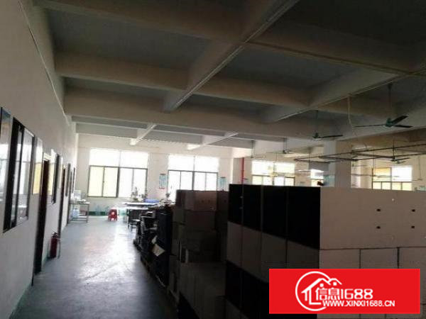 原房东,清溪800平米精装修3楼标准厂房,现成办公室