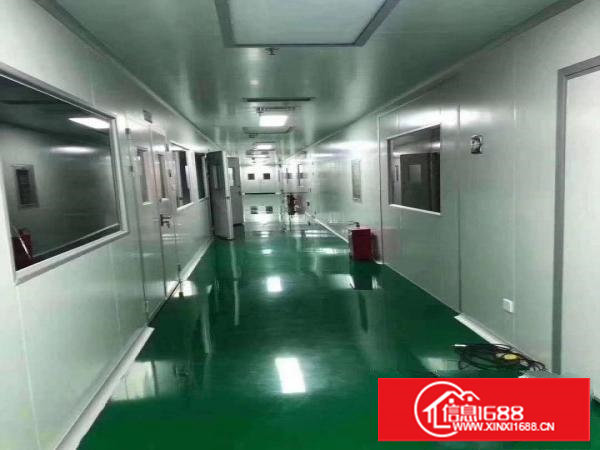 长安新出三楼1500平方，全新无尘车间