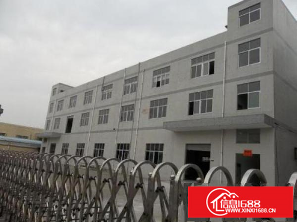 坂田六式格局1000平，合适办公贸易展厅等