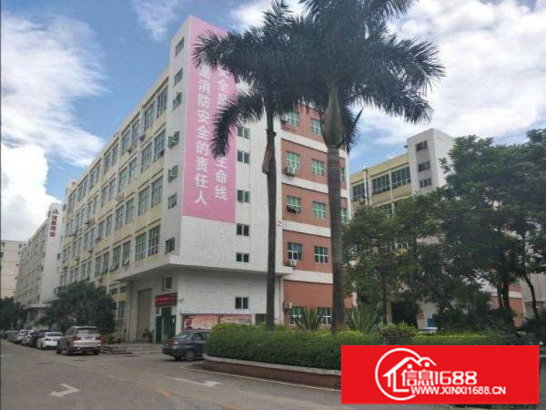 原房东！带精装修不要转让费，出租龙岗区坂田厂房800平方