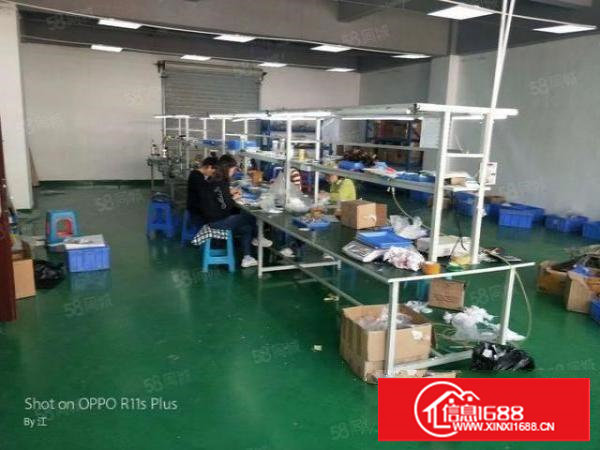 锦厦河南工业区新出楼上550平豪华装修厂房出租