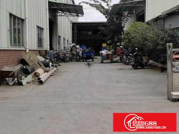 石排镇原房东独院单一层独院厂房