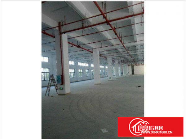 带消防喷淋横沥长巷村一楼1000平标准厂房出租