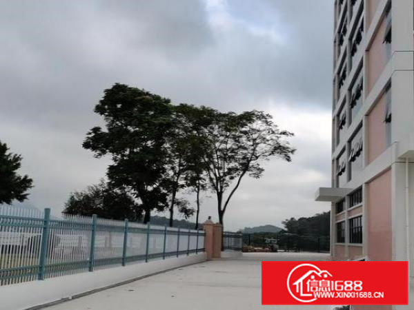 环境优美，全新厂房分租，需要的可以联系我