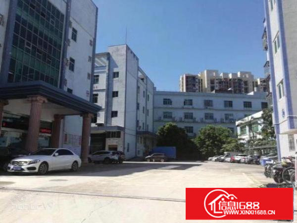 出租!坂田杨美五和雪象一楼二楼厂房仓库出租100-3000平