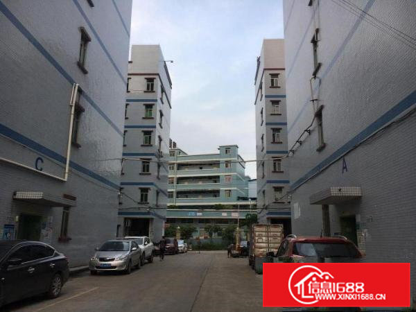 五联近平湖1公里新出一楼精装修800平方厂房，带独立办公室