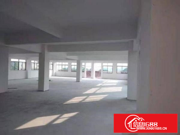 厂房出租，价格公道实体，车位电梯齐全