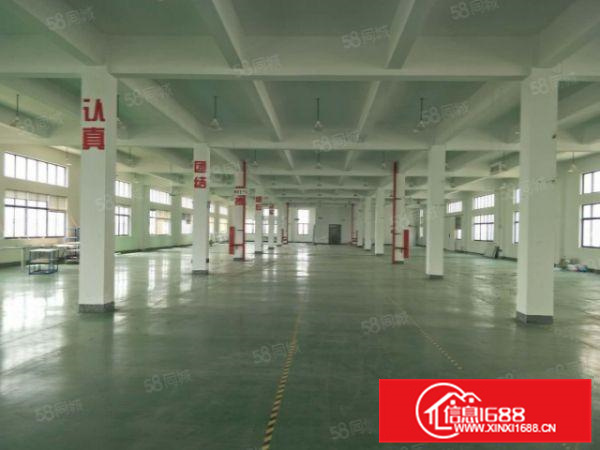 形象好大良红岗1050方厂房便宜招租九成新有产权精装