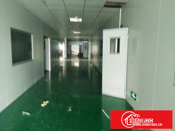 沥林泮沥村金达伟一楼标准厂房带装修700平招租