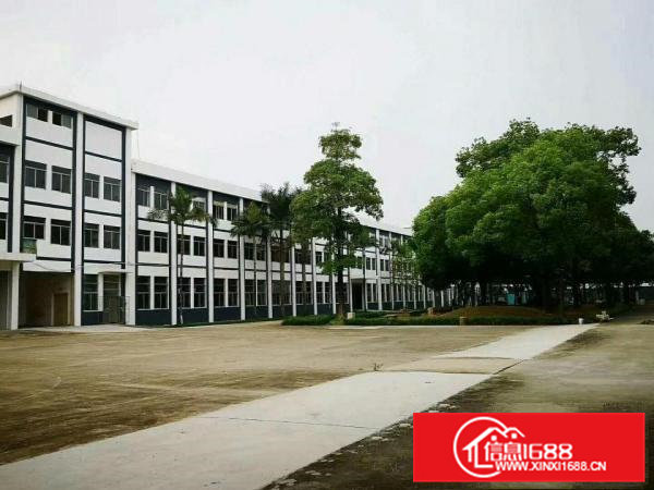 高埗工业区标准厂房楼上1200平方出租5吨货梯带消防喷淋