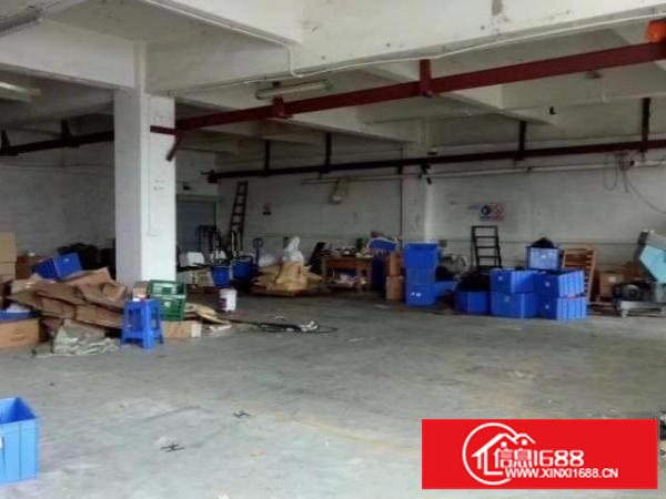 松岗碧头楼上500㎡招租，现成行车，有办公室，水电到位。