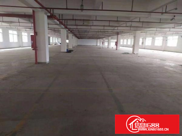 惠州惠城区三栋镇花园式可分租原房东标准厂房