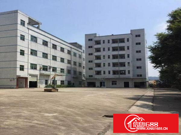 龙岗中心城独门独院厂房5000平米可分租