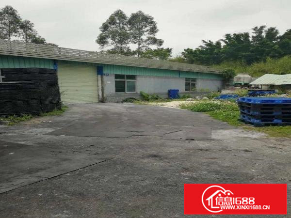 雁田布心铁皮房450平米独院出租