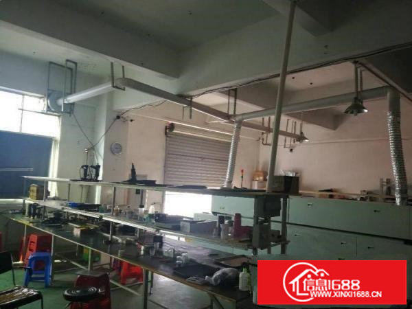 坂田上雪科技园280平540平1300厂房仓库招租