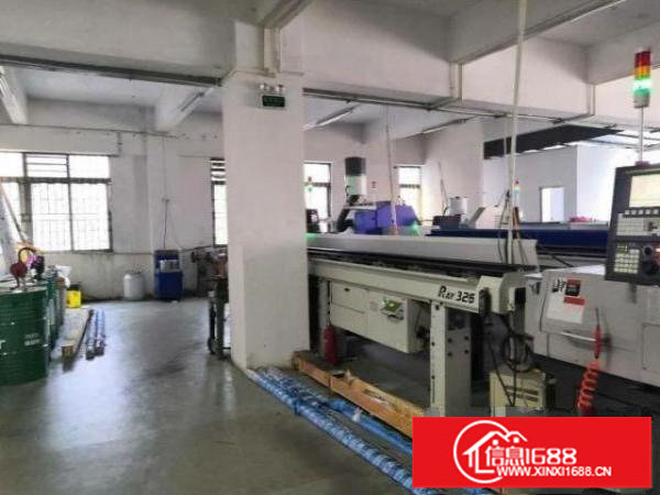 松岗红星社区出租450平方厂房精装修