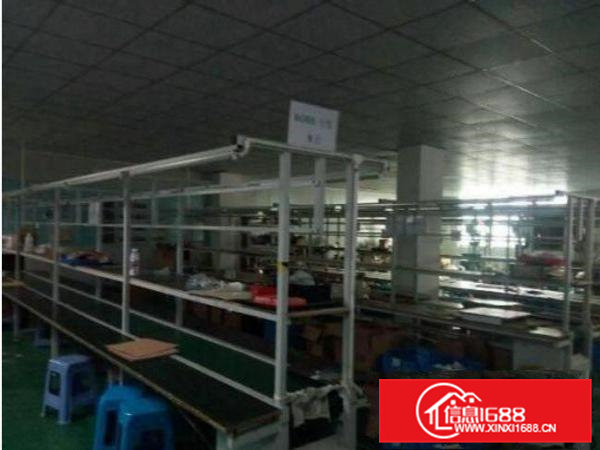 常平金美新出2楼800平精装修厂房