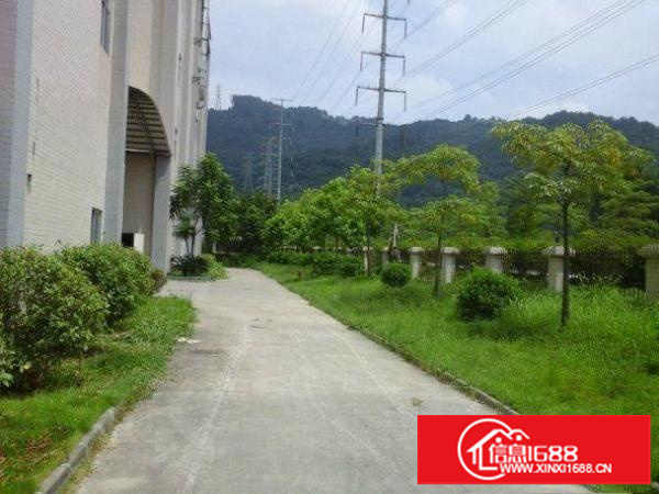 平湖新南2楼1500平方厂房招租