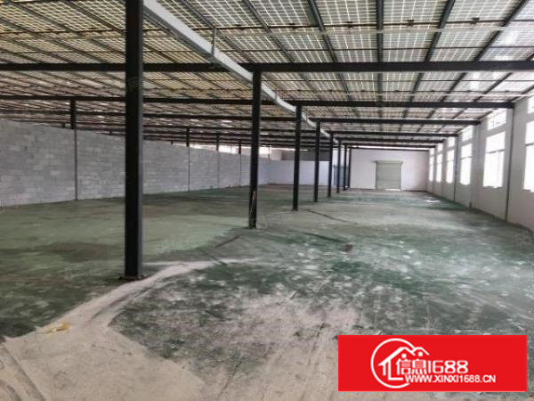 新出钢构豪华厂房价格实惠