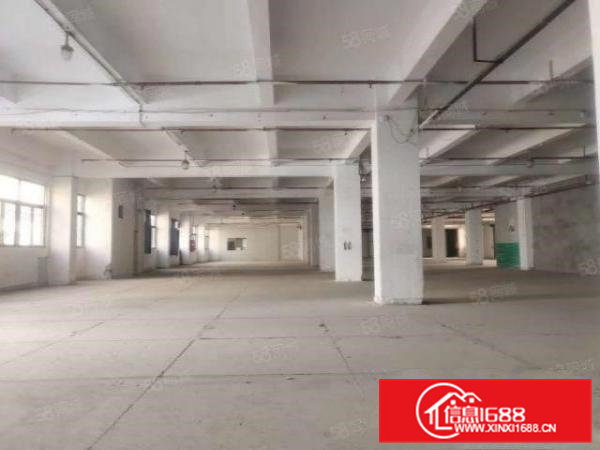 横沥镇高大上厂房，专业管理，配套服务，8元平方起，易招工