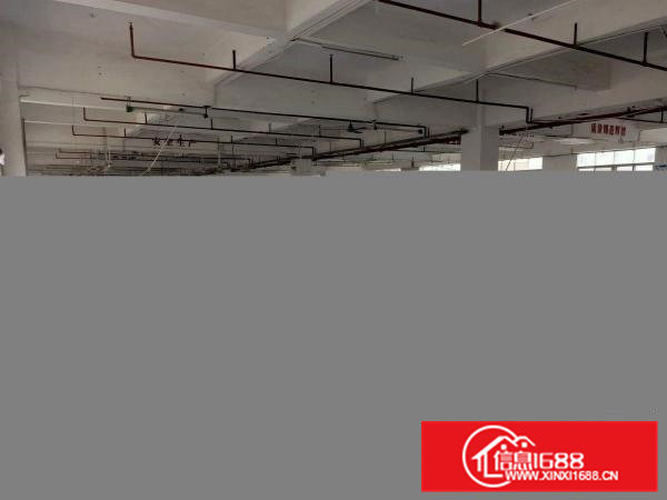 白沙康城创意园大小面积可分拎包即可生产