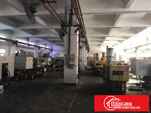 坂田上雪独院原房东红本带装修一楼3000平厂房出租