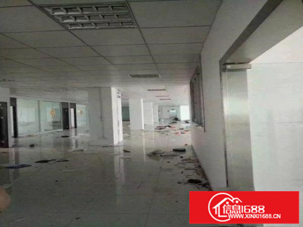 大浪新出700;900，1200平带装修厂房