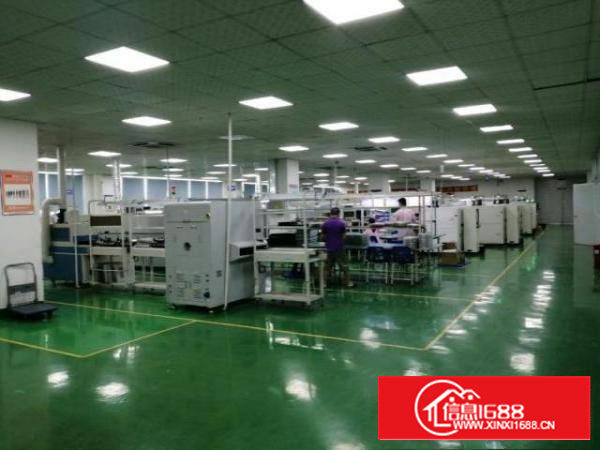 沙井后亭600平精装修厂房出租