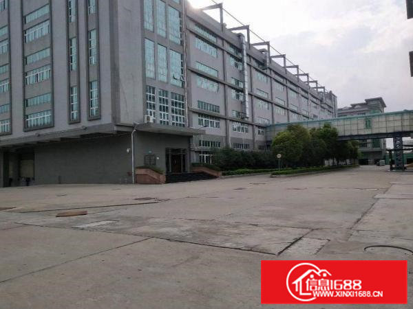 大朗镇蔡边村原房东分租三楼750平方带玻璃办公室装修12元租