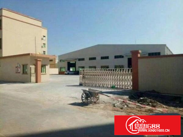 龙岗坪地独院钢构5000平方，滴水八米