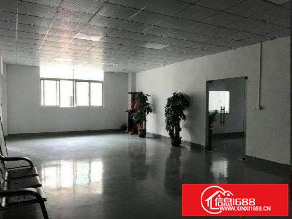 出租龙岗区龙岗大道新出二楼厂房1500平方，可分租