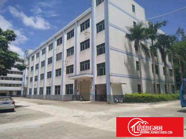 南联6米高一楼1000平米厂房招租可装峰谷表可分租