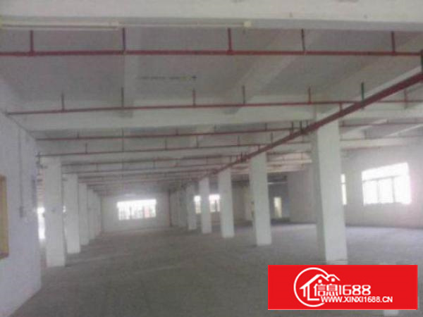 万江物流仓库500至20000平方招租