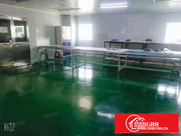 大岭山107道边现成5800平无尘车间出租豪华办公室装修